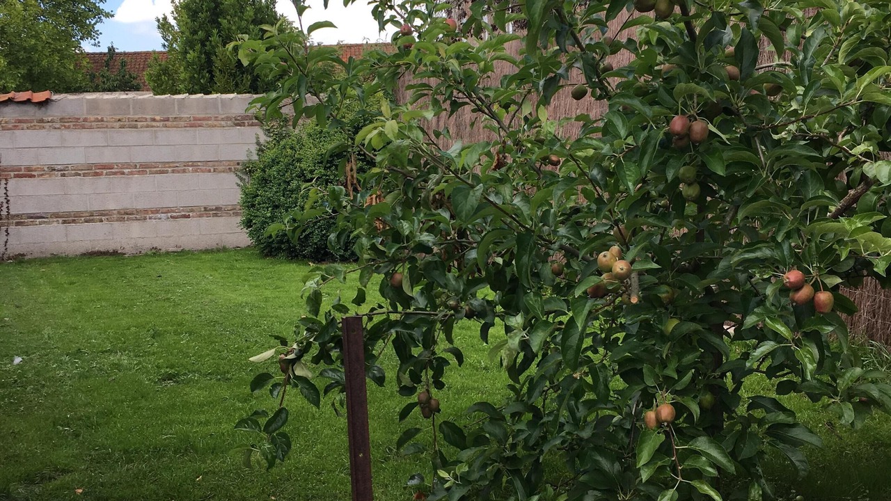 Photo of Outdoor in Crecy-en-Ponthieu
