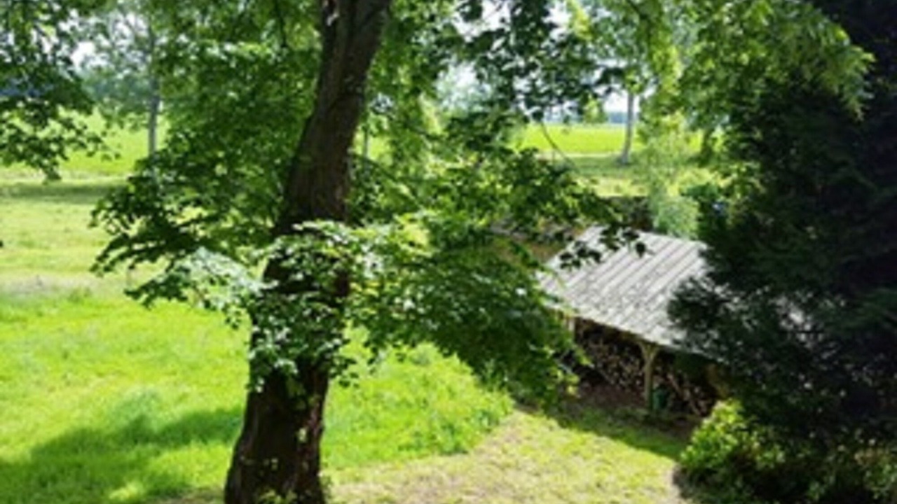Photo of Outdoor in Lindebeuf