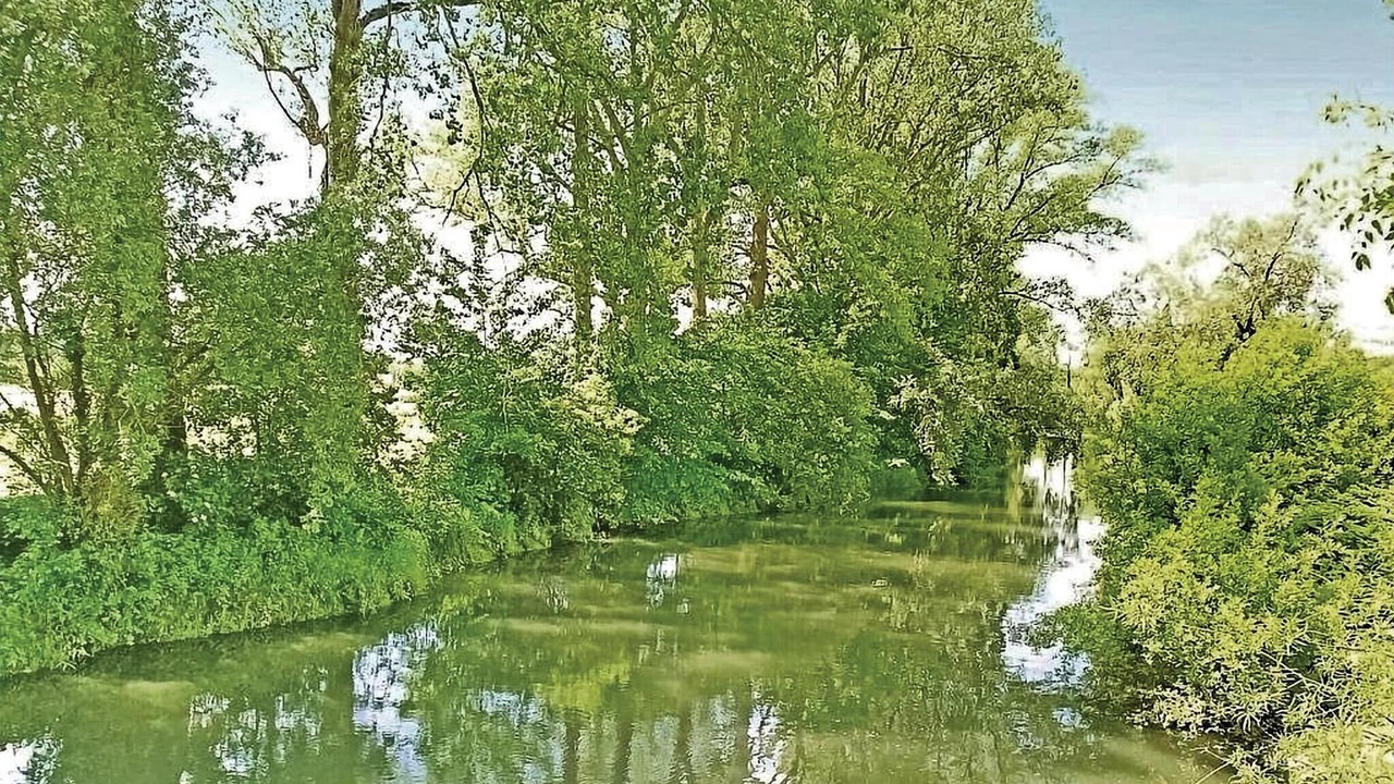 Photo of Others in Grigny
