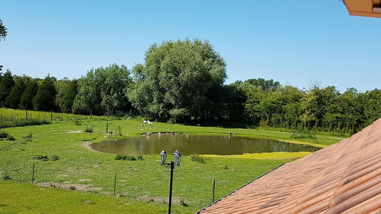 Photo of Outdoor in Quend