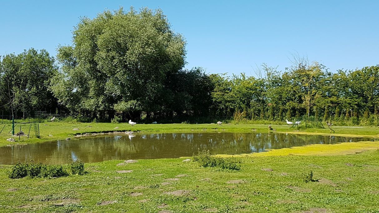 Photo of Outdoor in Quend