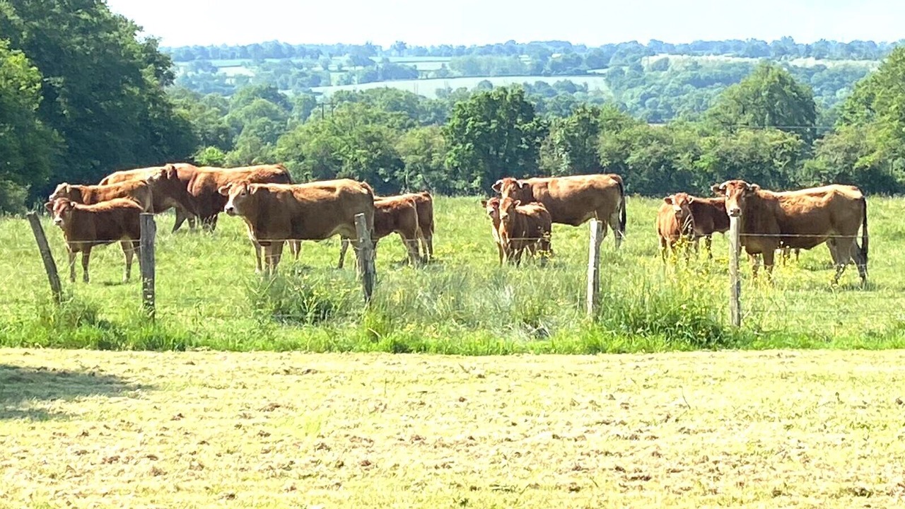 Photo of Others in Thollet