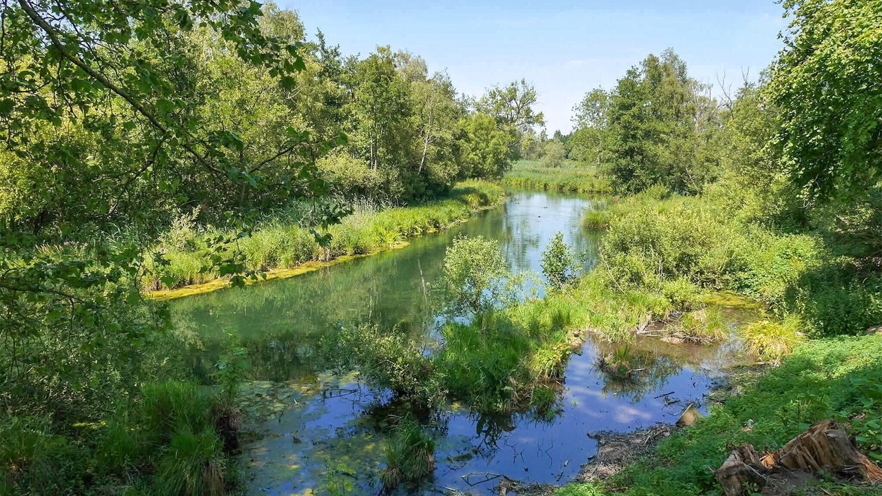 Photo of Others in Rethonvillers