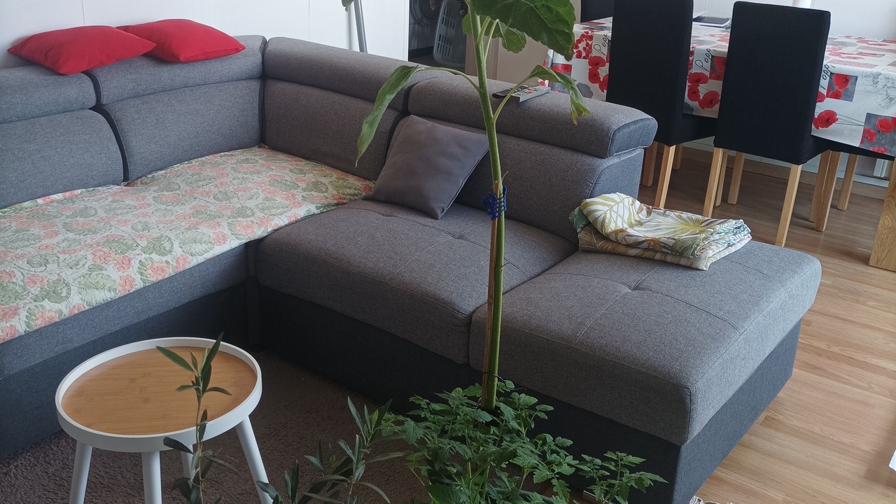 Photo of Livingroom in Clos des Roses
