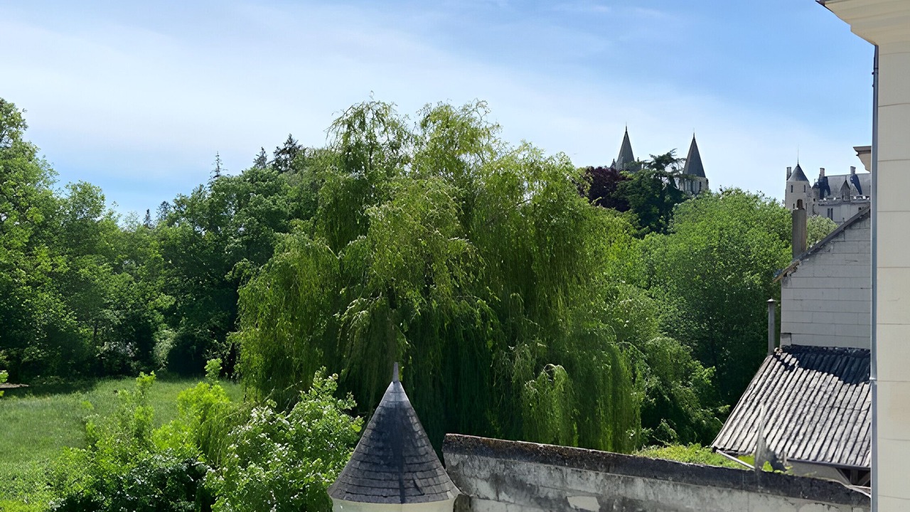 Photo of Others in Loches