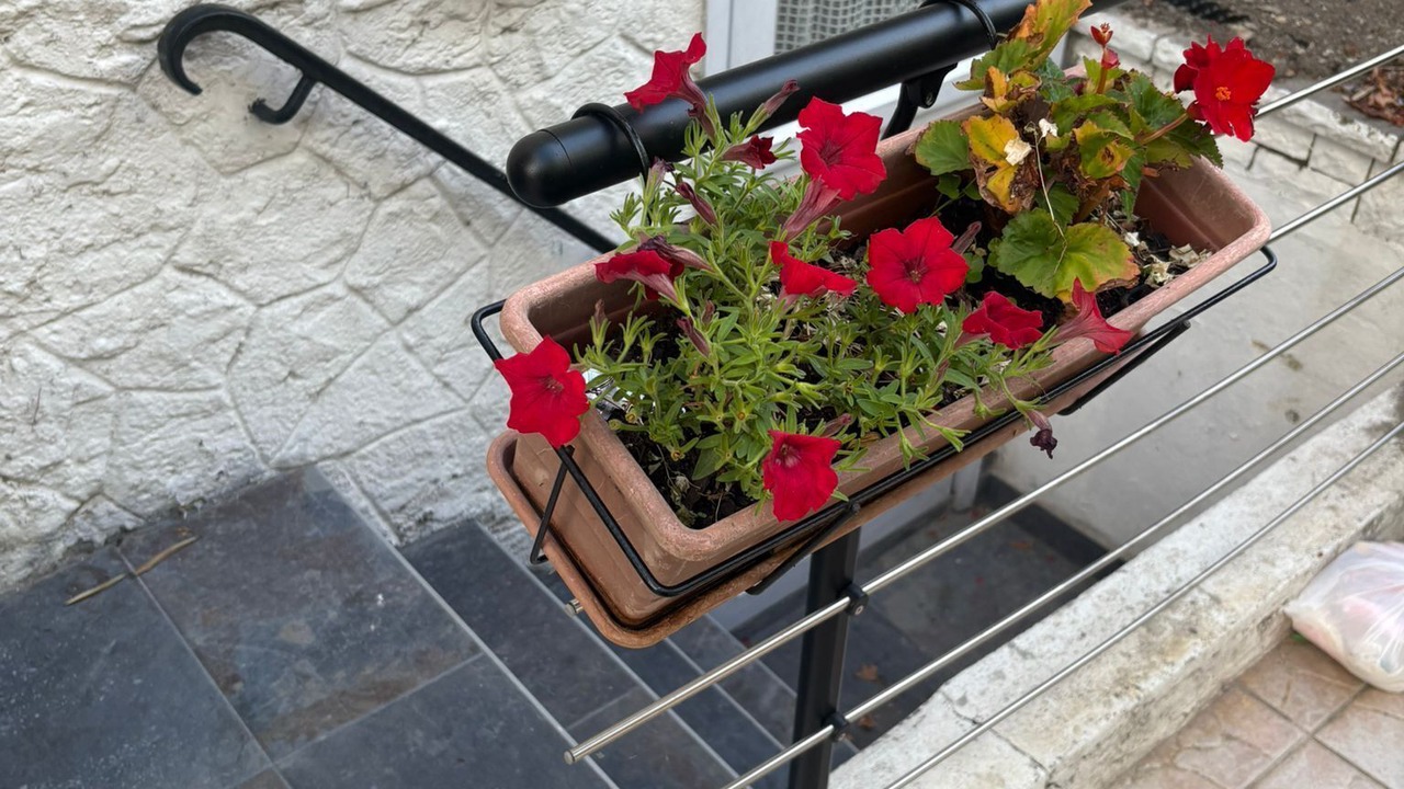 Photo of Outdoor in Aulnay-sous-Bois