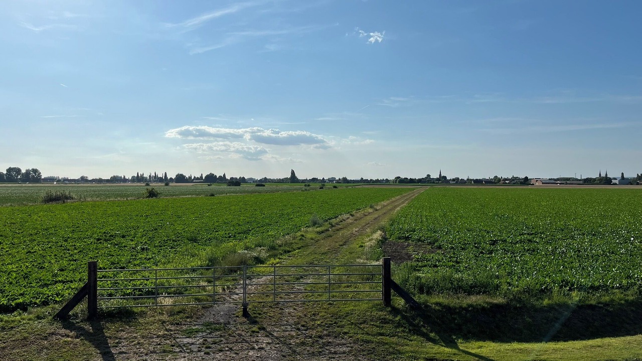 Photo of Others in La Chapelle-d'Armentieres