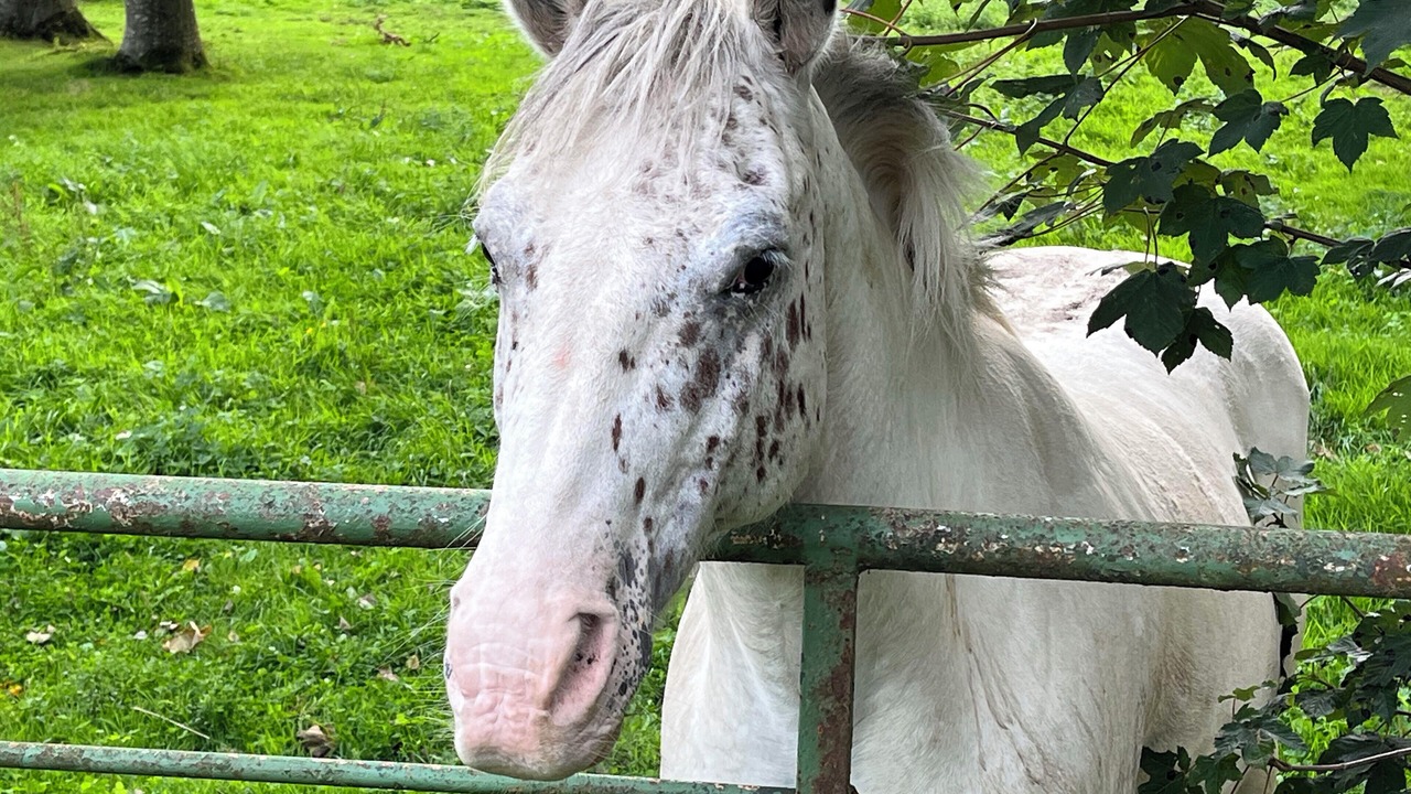 Photo of Others in Walincourt-Selvigny