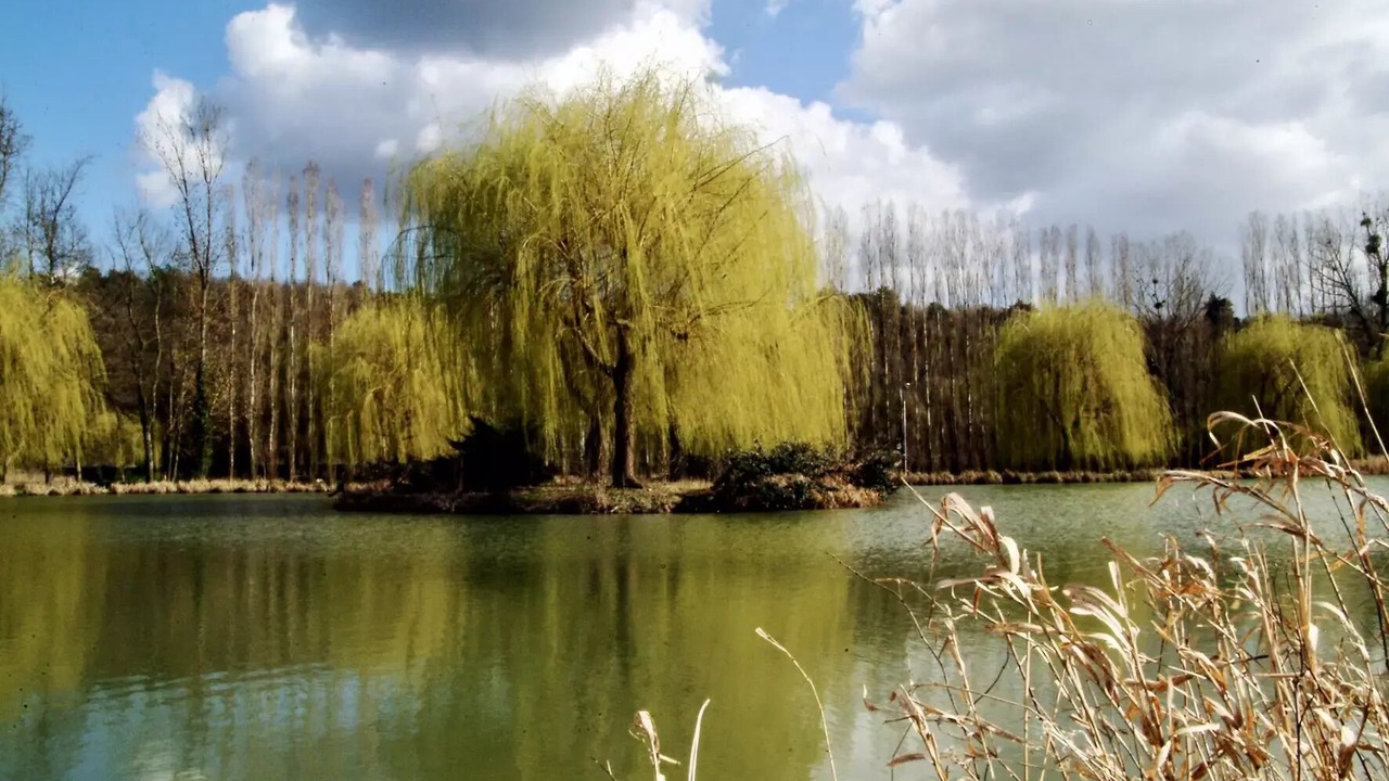 Photo of Others in Bagneaux-sur-Loing