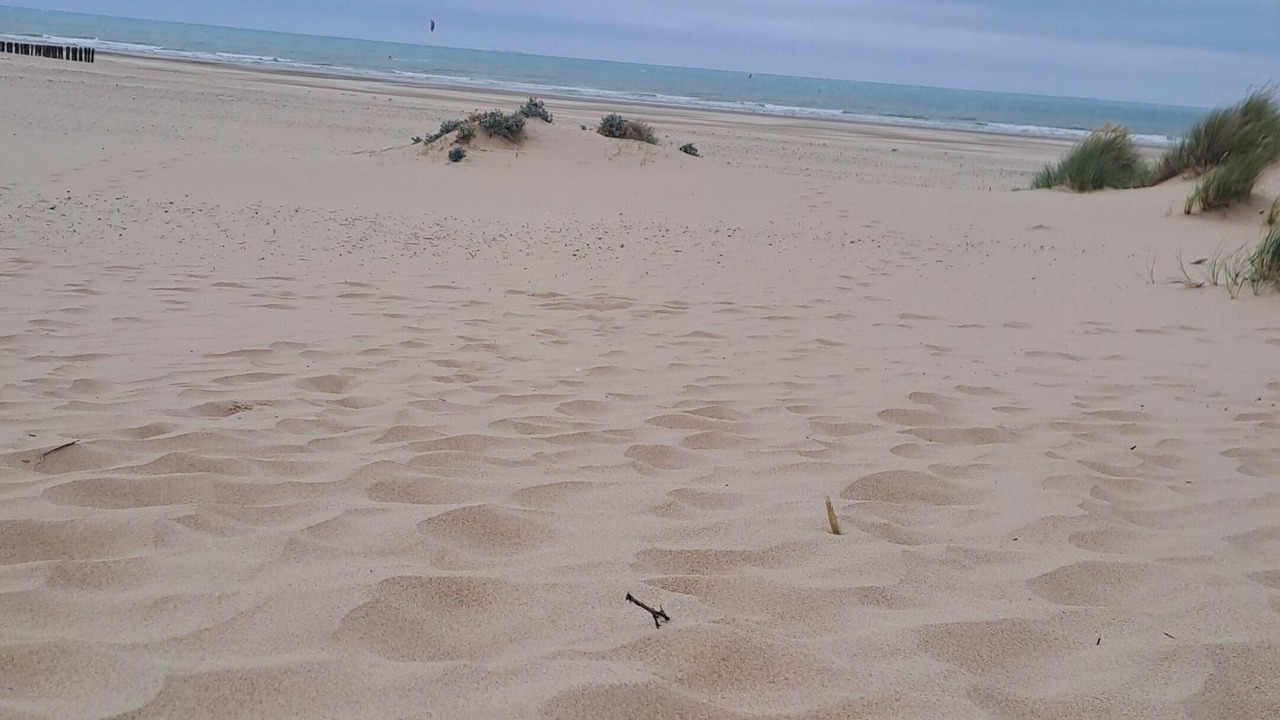 Photo of Others in Bleriot-Plage