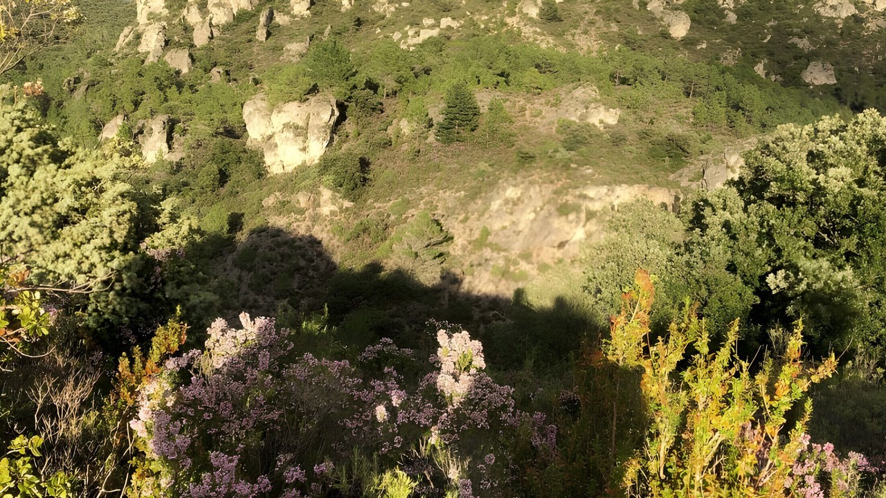 Photo of Others in Moureze