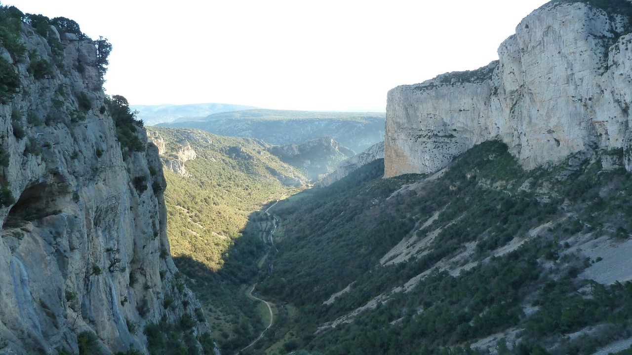 Photo of Others in Le Bosc