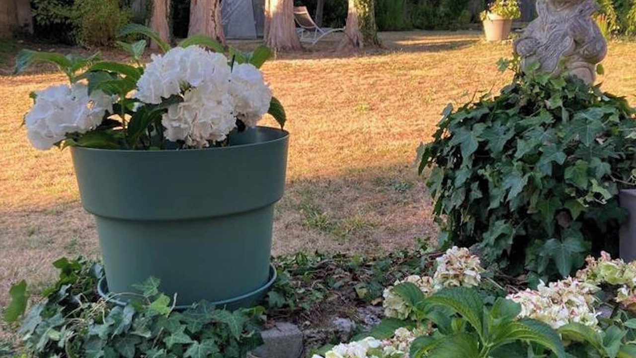 Photo of Outdoor in Vienne-en-Arthies