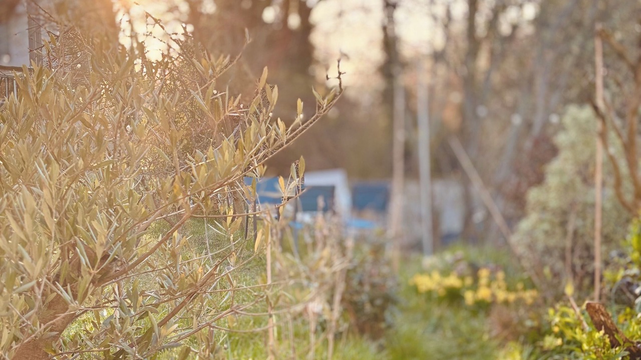 Photo of Outdoor in Palaiseau