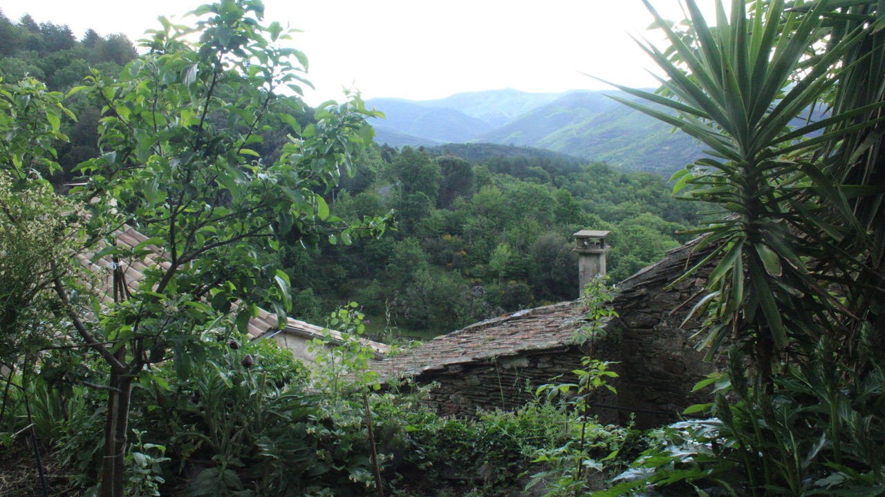 Photo of Outdoor in Saint-Vincent-d'Olargues