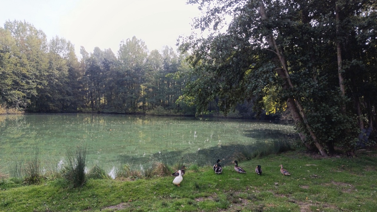 Photo of Others in Bourbourg