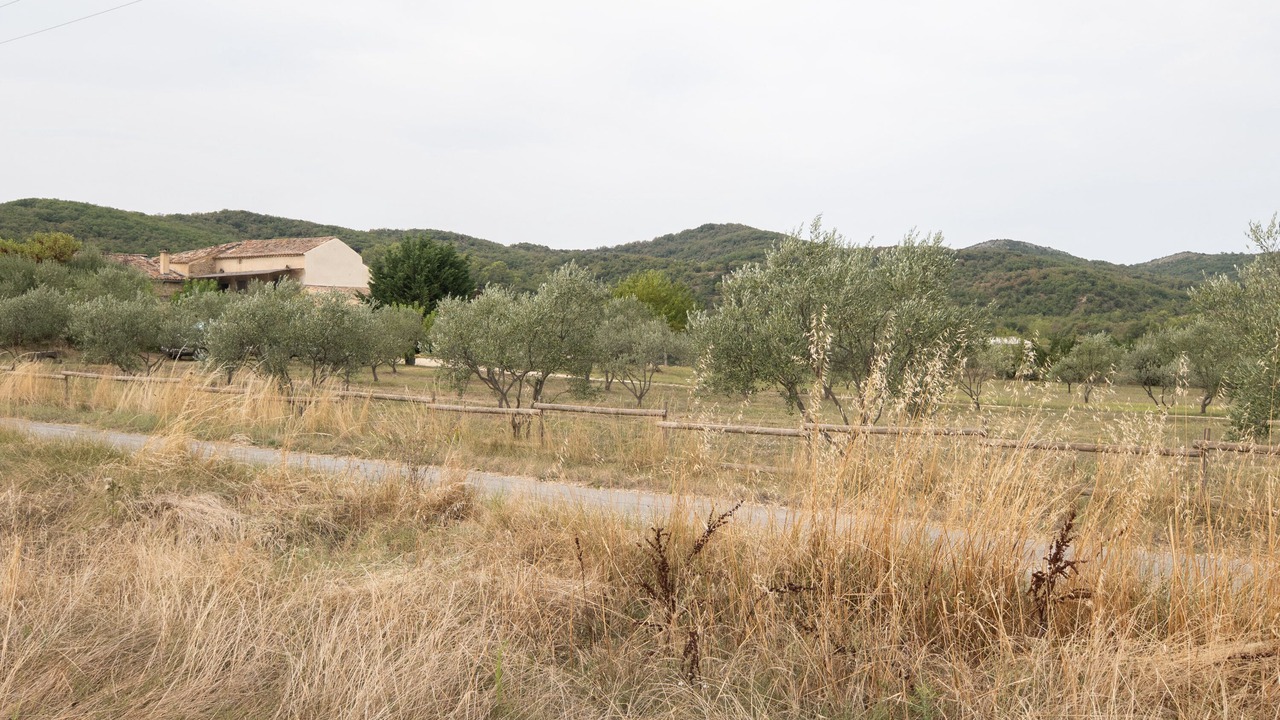Photo of Others in Bessas