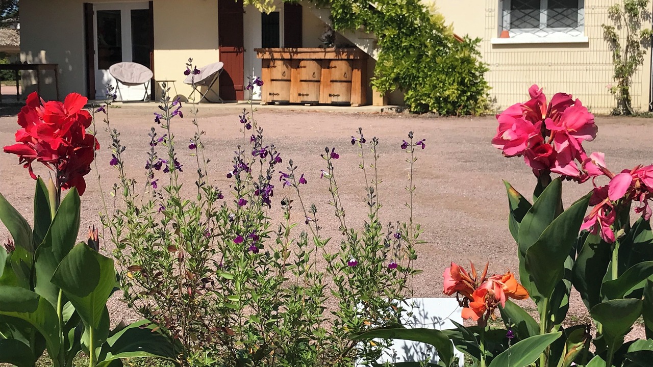 Photo of Outdoor in Saint-Martin-Belle-Roche