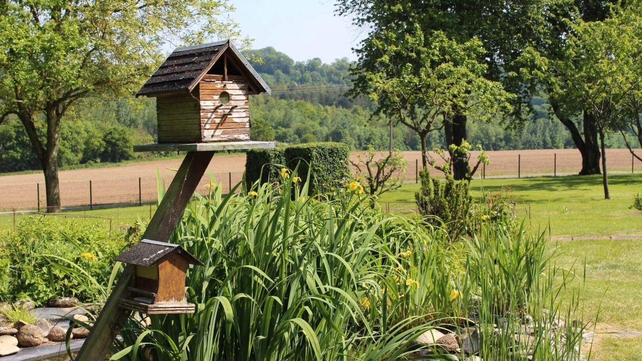 Photo of Outdoor in Domart-en-Ponthieu
