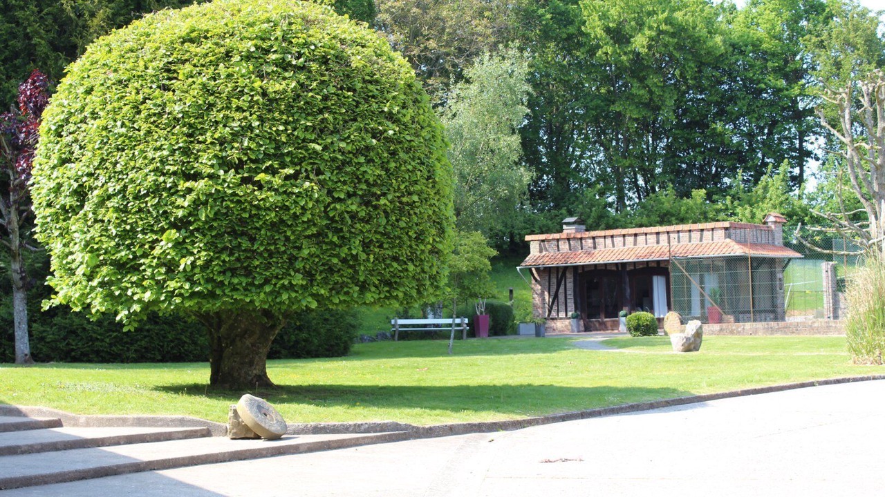 Photo of Outdoor in Domart-en-Ponthieu
