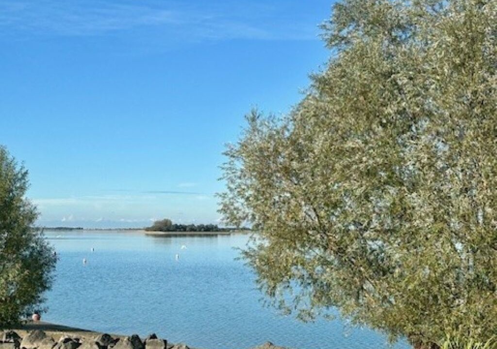 Photo of Others in Giffaumont-Champaubert