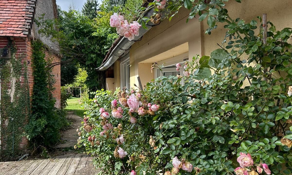 Photo of Outdoor in Mittainvilliers-Verigny