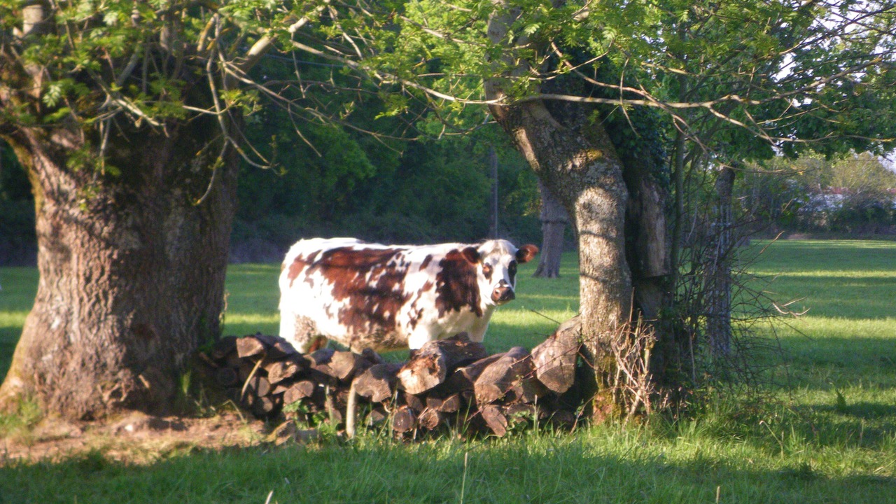 Photo of Others in Saint-Aubin-de-Bonneval