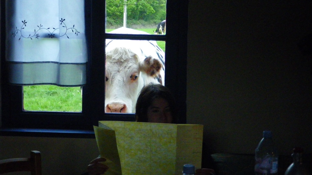 Photo of Others in Saint-Aubin-de-Bonneval