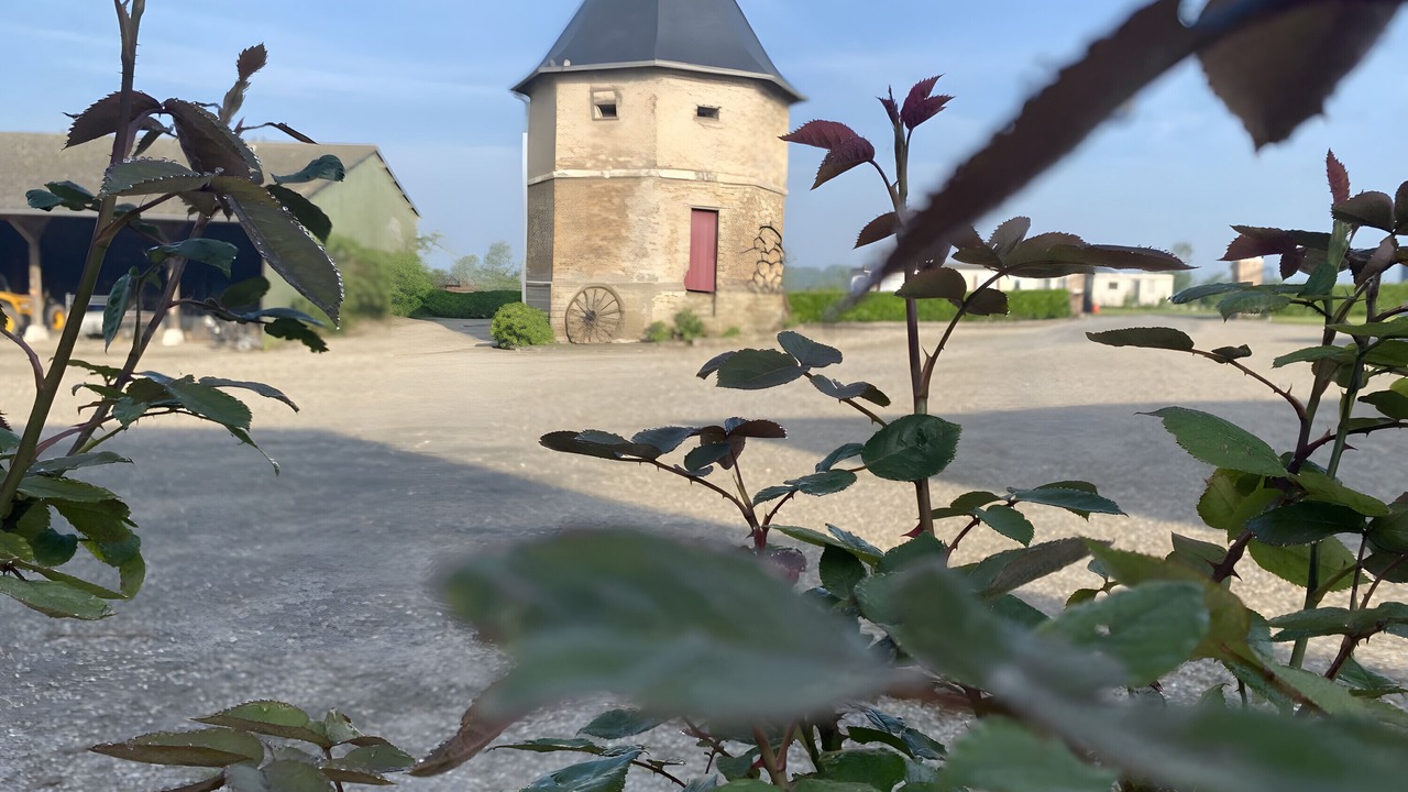 Photo of Outdoor in Forest-Montiers