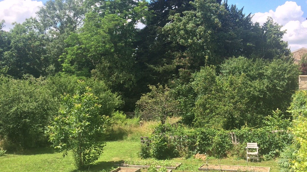 Photo of Outdoor in La Roche-Vineuse