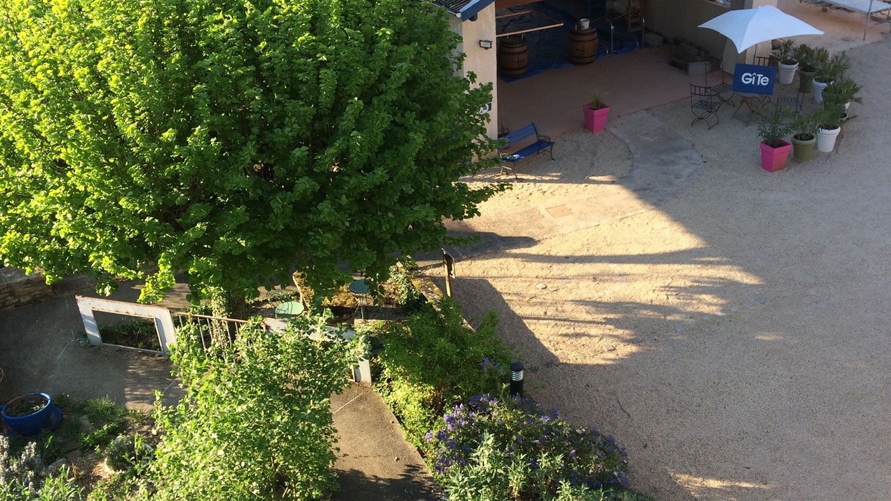 Photo of Outdoor in La Roche-Vineuse
