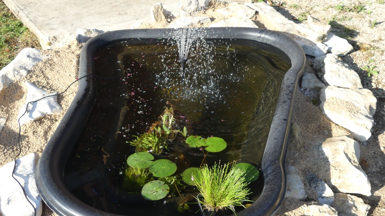 Photo of Outdoor in Corveissiat