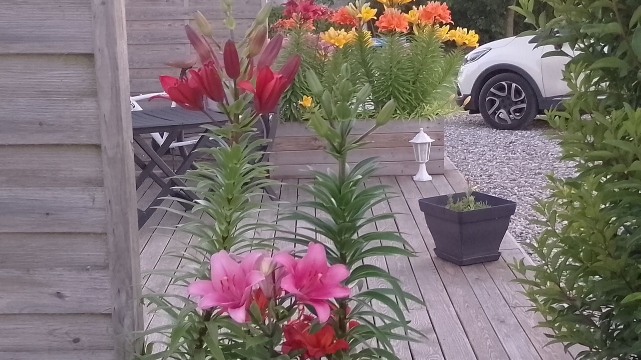 Photo of Outdoor in Cayeux-sur-Mer