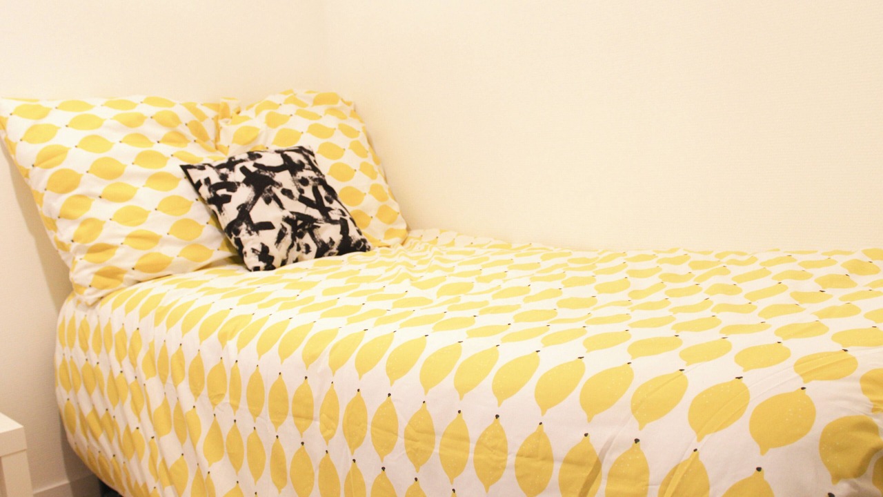 Photo of Bedroom in L'Ile-Saint-Denis