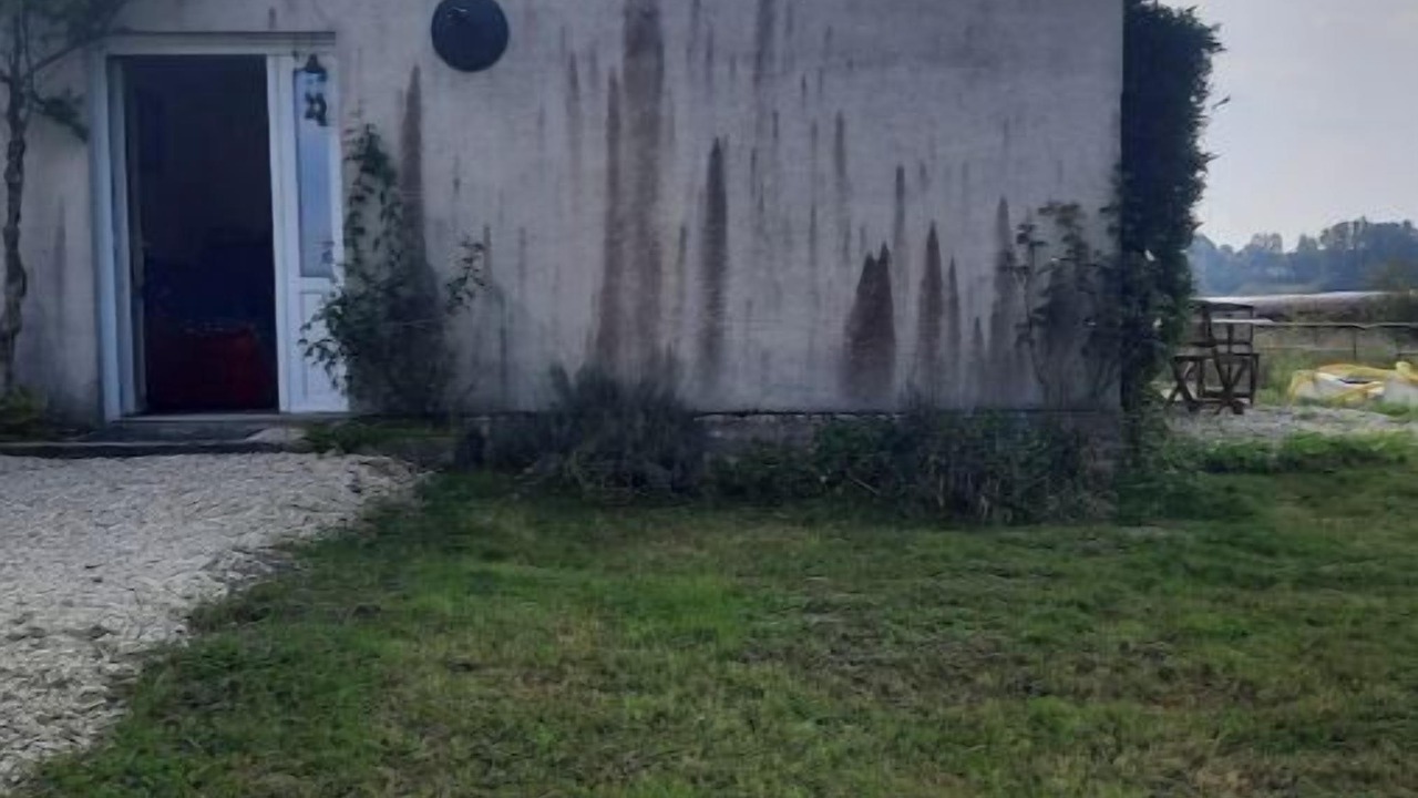 Photo of Outdoor in Mons-en-Pevele
