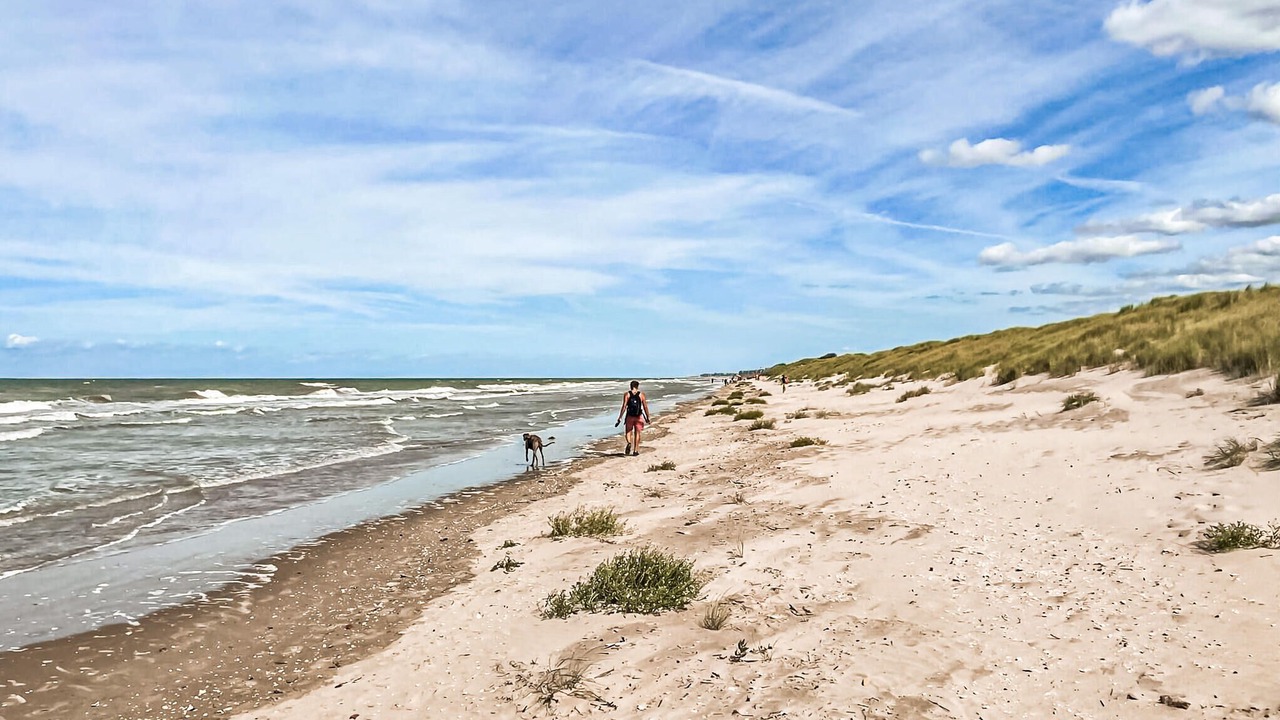 Photo of Others in Bray-Dunes