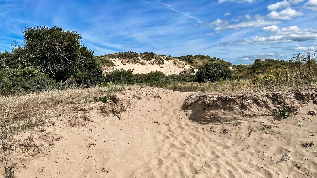 Photo of Others in Bray-Dunes