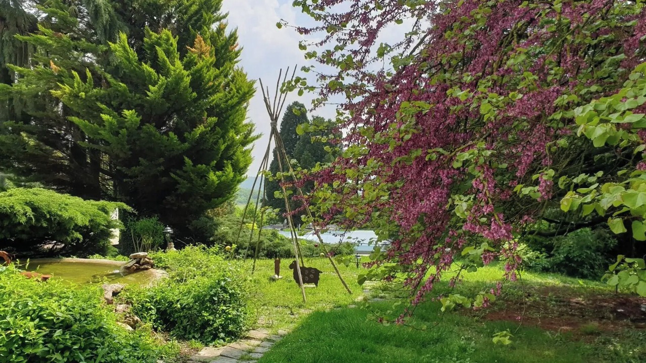 Photo of Outdoor in Orly-sur-Morin