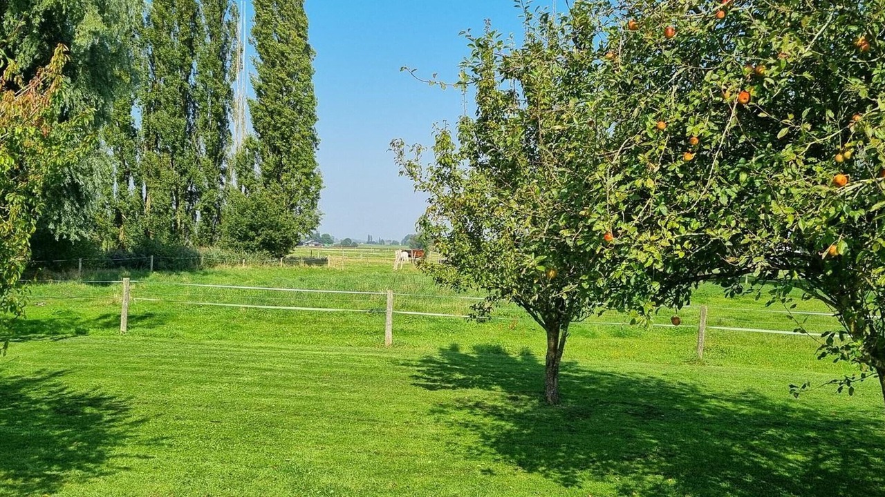 Photo of Others in Fournes-en-Weppes