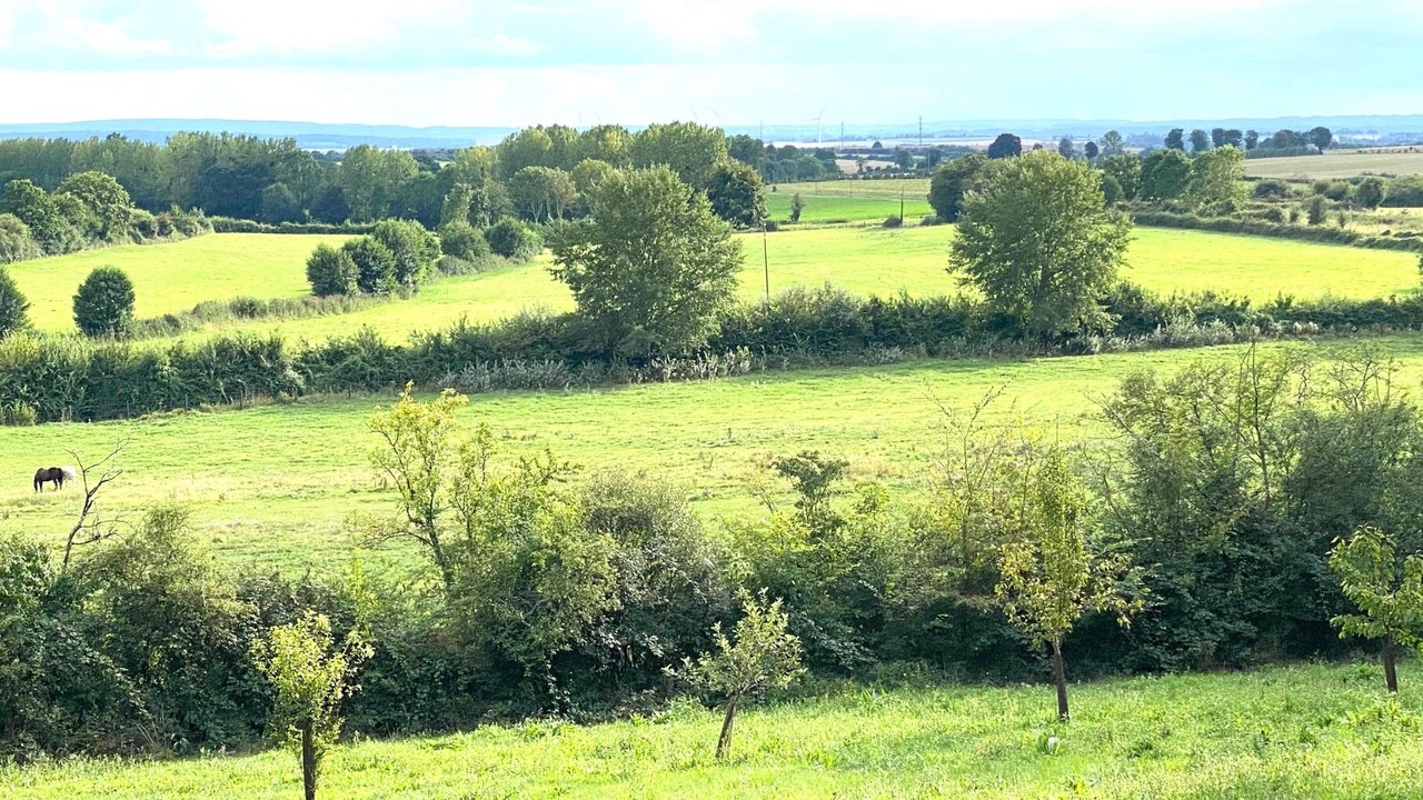 Photo of Outdoor in Sevigny