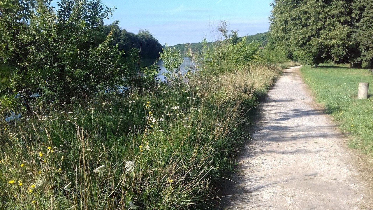Photo of Outdoor in Samois-sur-Seine
