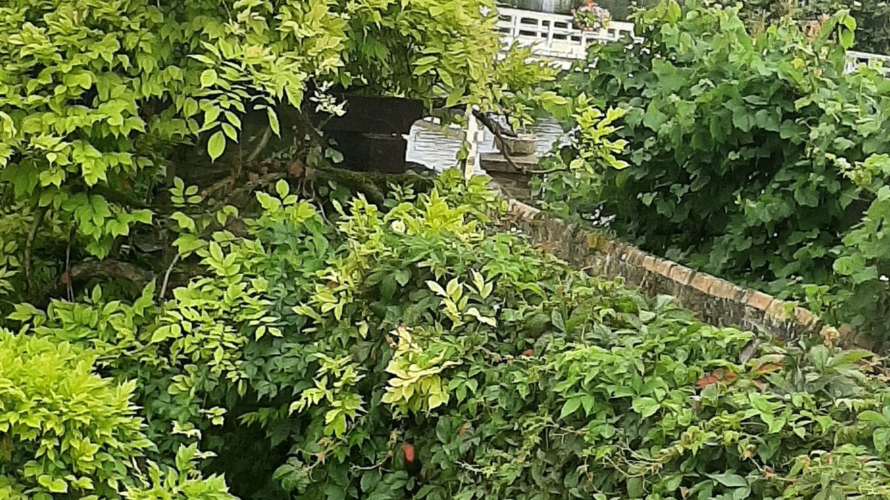 Photo of Outdoor in Samois-sur-Seine