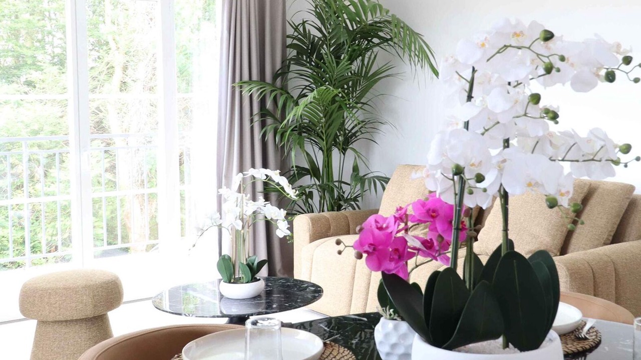 Photo of Patio Balcony in Bussy-Saint-Georges