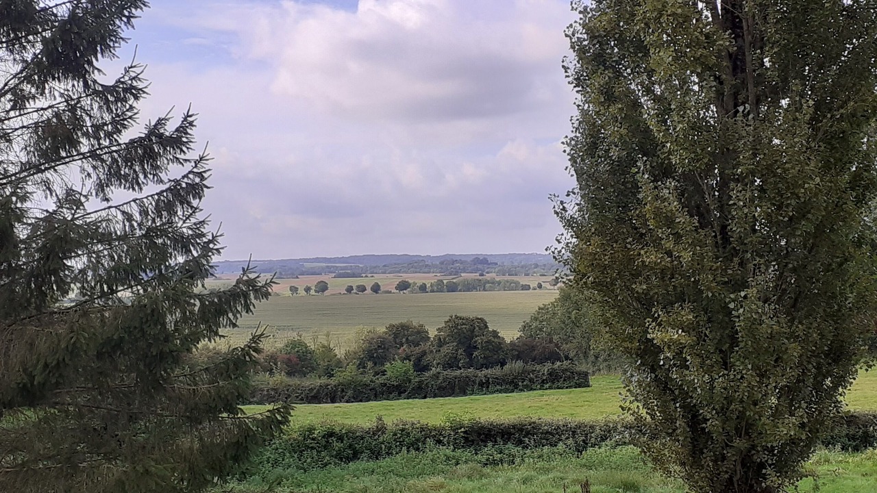 Photo of Others in Wavrans-sur-l'Aa