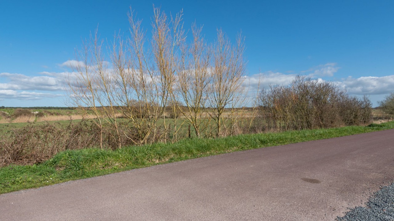 Photo of Outdoor in Creances