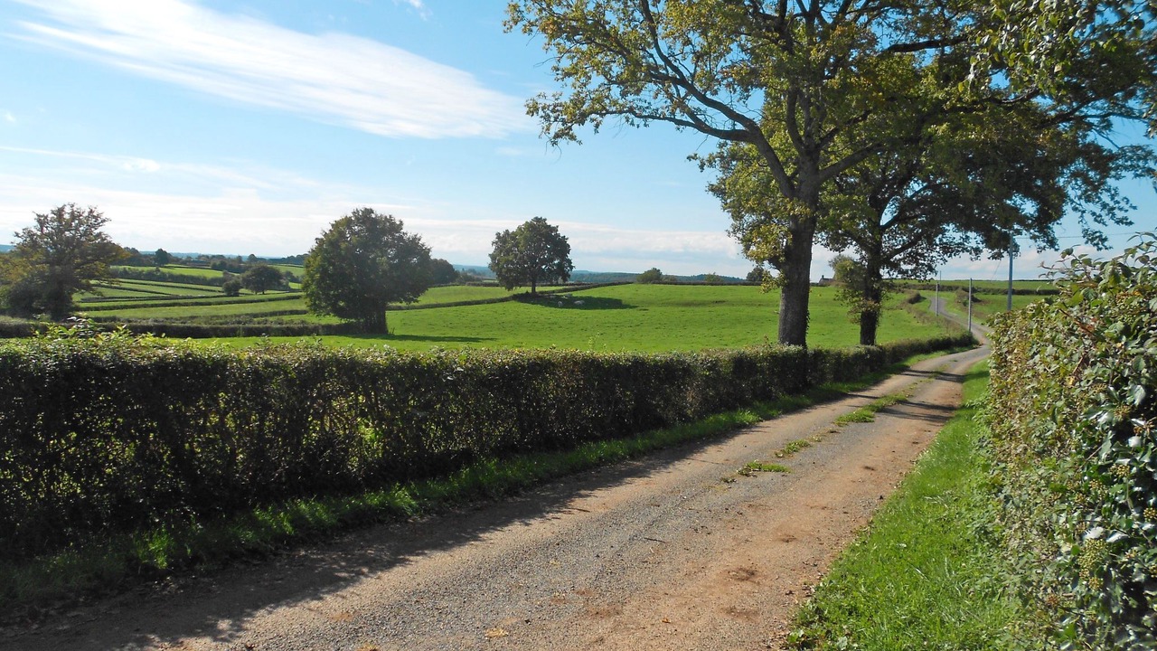 Photo of Others in Ternant