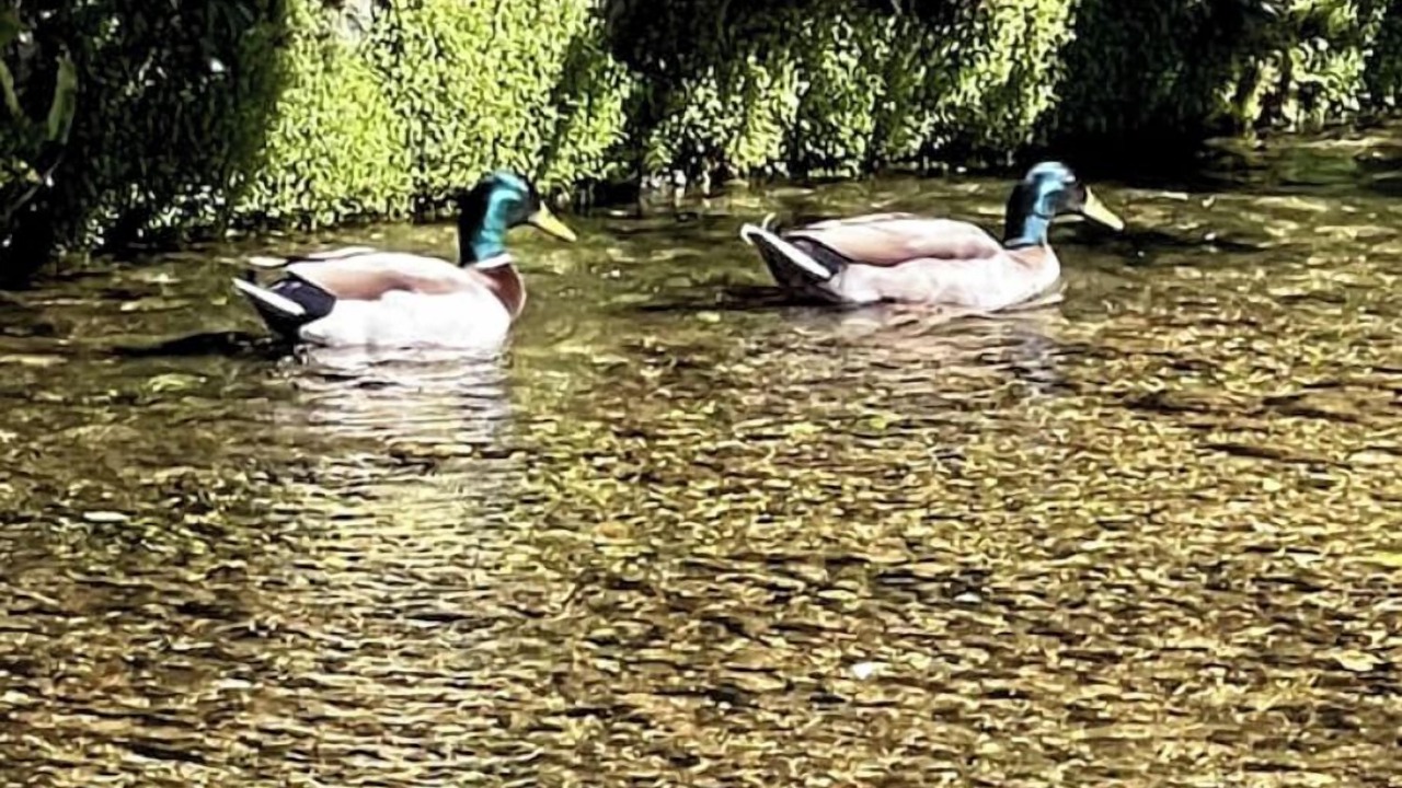 Photo of Others in Veules-les-Roses