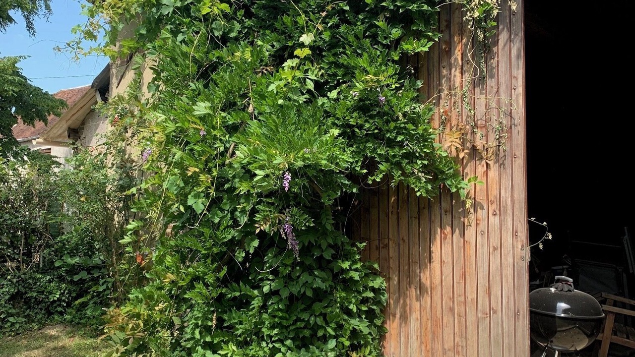 Photo of Outdoor in Boeurs-en-Othe