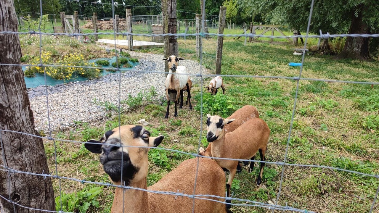 Photo of Others in Villy-sur-Yeres
