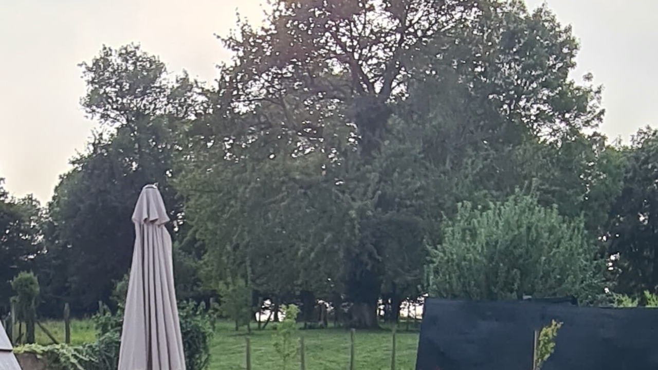 Photo of Outdoor in Ames
